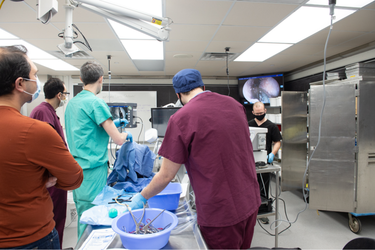 Viewing the overhead monitor as endoscopic endonasal approach starts