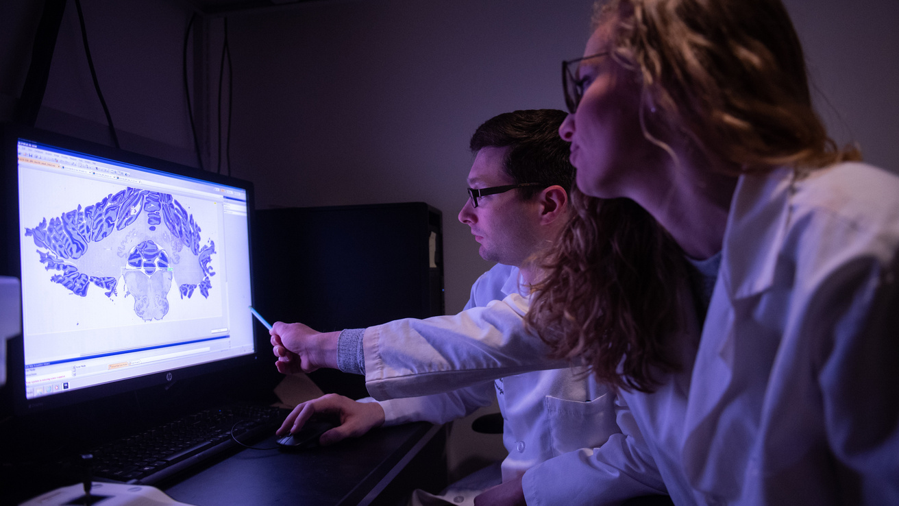 Pictures of Neurosurgery residents working with faculty.