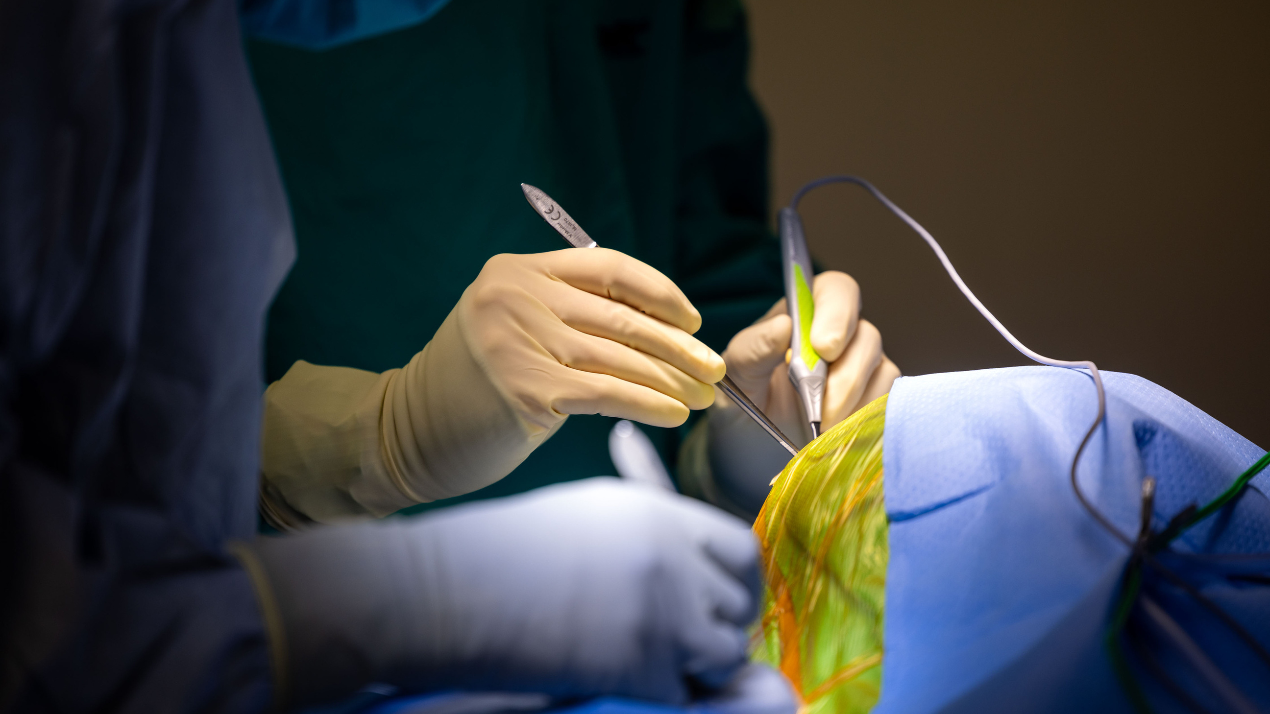 Department of Neurosurgery | Carver College of Medicine | The ...