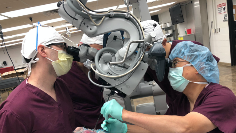 Neurosurgery residents working with Dr. Yamaguchi during far lateral exposure